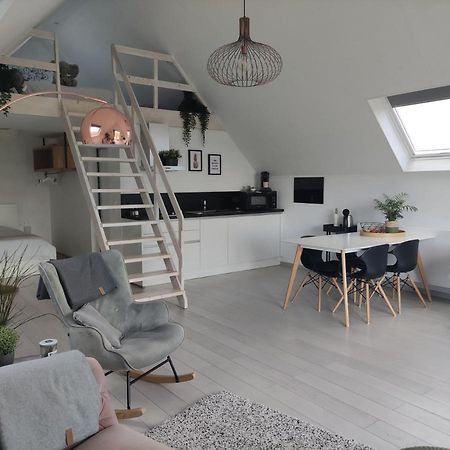 *** Biezoe *** Apartment Brakel Exterior foto
