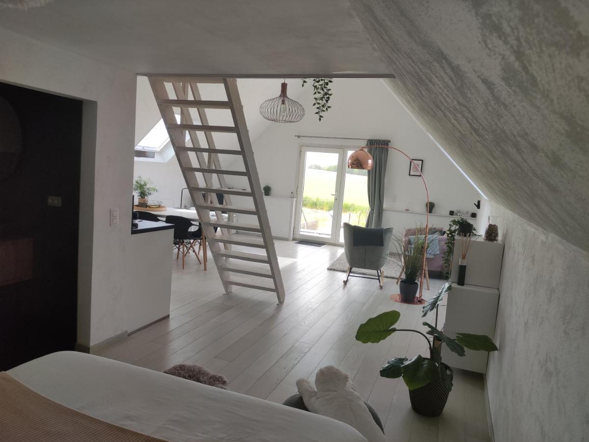 *** Biezoe *** Apartment Brakel Exterior foto