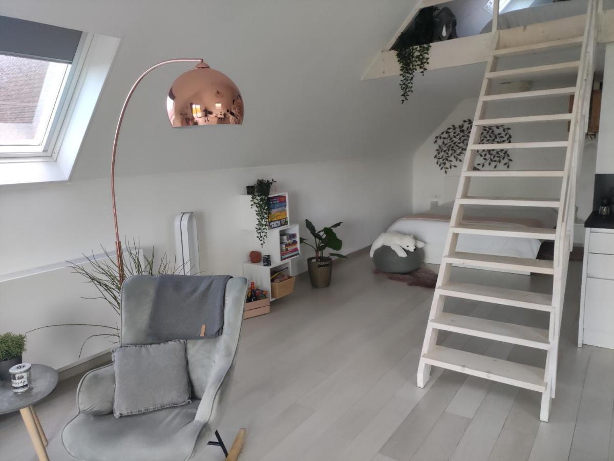 *** Biezoe *** Apartment Brakel Exterior foto