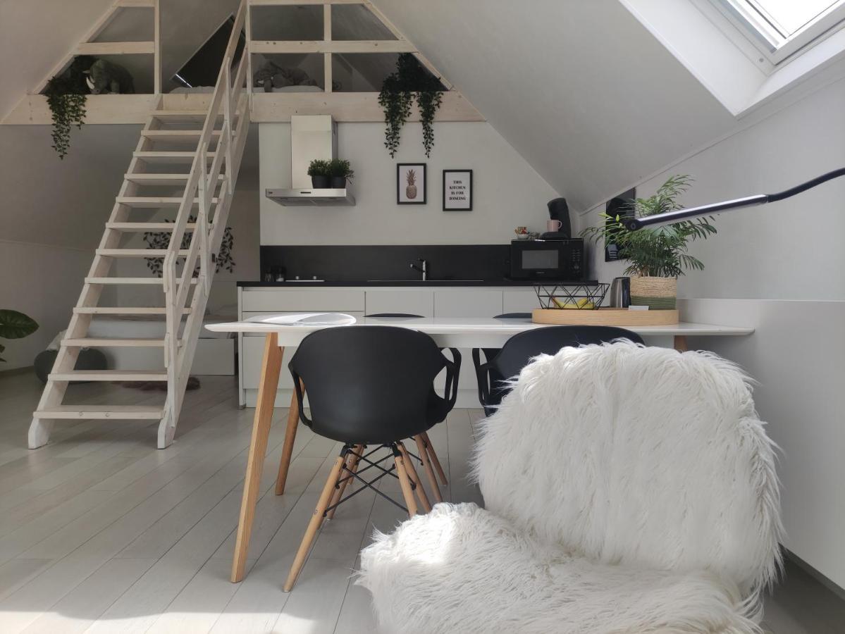 *** Biezoe *** Apartment Brakel Exterior foto