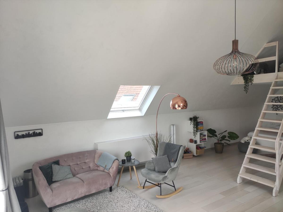 *** Biezoe *** Apartment Brakel Exterior foto